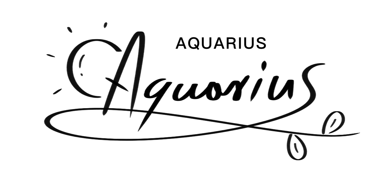 HONG KONG AQUARIUS TRADING LIMITED